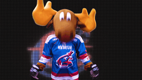 marty moose yes GIF by Newcastle Northstars