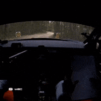 Wrc GIF by FIA World Rally Championship