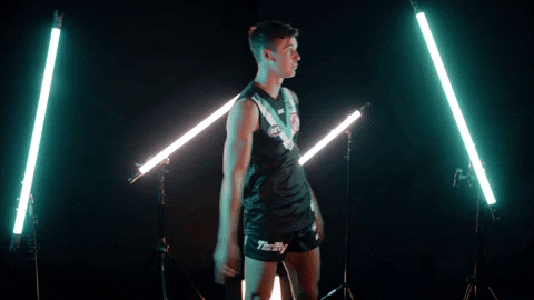 Cricket Afl GIF by Port Adelaide FC