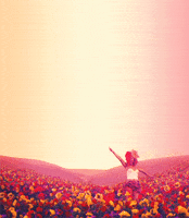 Flower Цветы GIF