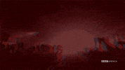 party celebrate GIF by BBC America