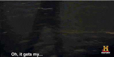 GIF by Swamp People