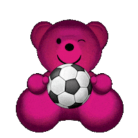 Football Volleyball Sticker by pinkparadise