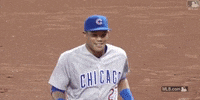 Chicago Cubs GIF by MLB