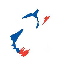 France Football Sticker by Panini America