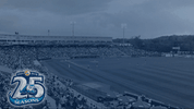 baseball strikeout GIF by West Michigan Whitecaps 