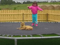 trampoline GIF