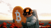 Spaziocrypto crypto community bitcoin web3 GIF