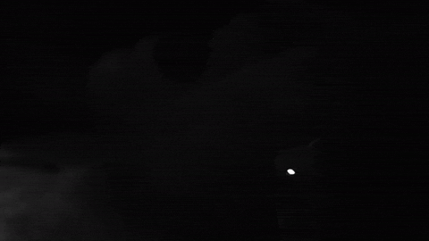 black and white horror GIF by Epitaph Records