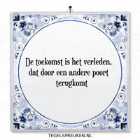 Humor Nl GIF by Tegelspreuken.nl