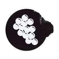 Ttg Sticker by Thru The Grapevine