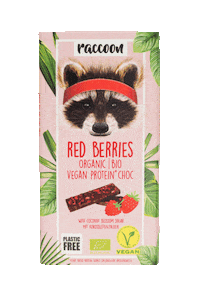 Raccoonchoc Sticker by Raccoon Foods