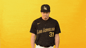 Cal State La Sport GIF by Cal State LA Golden Eagles