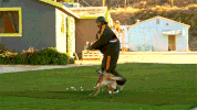 mtv omg GIF by mtvfearfactor
