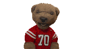 cornell university touchdown Sticker