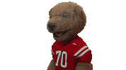 cornell university touchdown Sticker