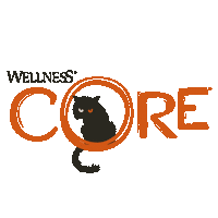 Cat Halloween Sticker by WellnessCORE_eu