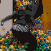 james patterson pranks GIF by Middle School Movie