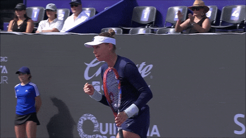 Zvonareva GIF