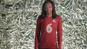 Elon Volleyball GIF by Elon Phoenix