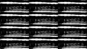 glitch art communication GIF by Nico Roxe