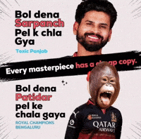 Virat Kohli Shreyas GIF