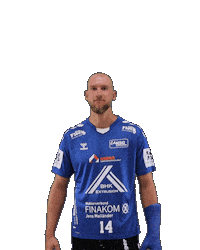 Handball Sticker by HSGSpradow