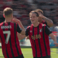 Happy Premier League GIF by AFC Bournemouth