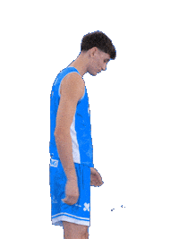 Cbsa Sticker by Basquet Sant Antoni