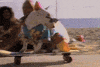 bud light dog GIF