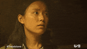 Usa Network Television GIF by Treadstone
