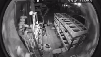 Security Footage Shows Home Shaking in Miyagi During 7.3-Magnitude Earthquake