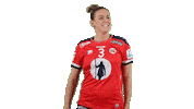 Handball Euro Sticker by EHF