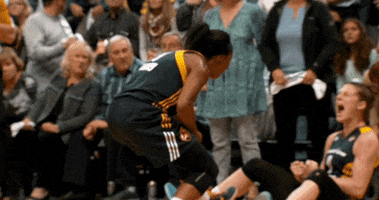 briann january basketball GIF by Indiana Fever