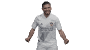 Los Angeles Football Sticker by LA Galaxy