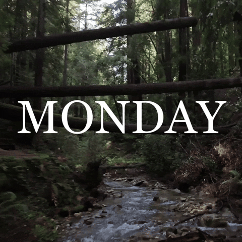 Monday Forest GIF by Yevbel