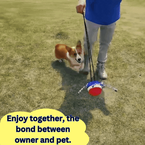 magnetify giphyupload GIF