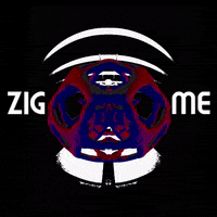 Zig Zag Gizmo GIF by Komplex
