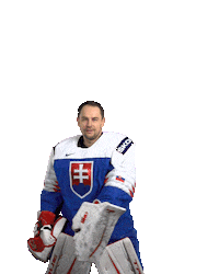 Ice Hockey Goal Sticker by International Ice Hockey Federation