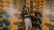 Baseball Bison GIF by NDSU Athletics