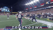 New England Patriots Football GIF by NFL