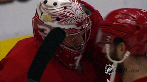 Ice Hockey GIF by NHL