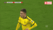 Red Devil Celebration GIF by ElevenSportsBE