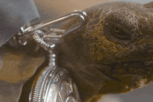 All Good Yes GIF by Manifest Destiny Down: SPACETIME