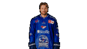 Tigershockey Sticker by Straubing Tigers