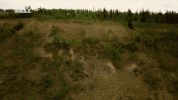 gold canada GIF by DMAX