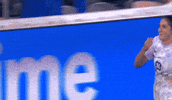 2025 GIF by National Women's Soccer League