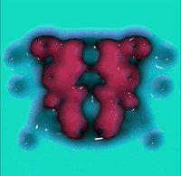 Art Morph GIF by Aleksey Efremov