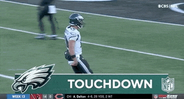 Philadelphia Eagles Football GIF by NFL