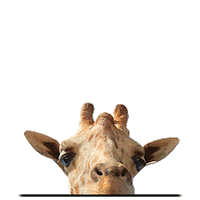 Climate Change Hello Sticker by NRDC